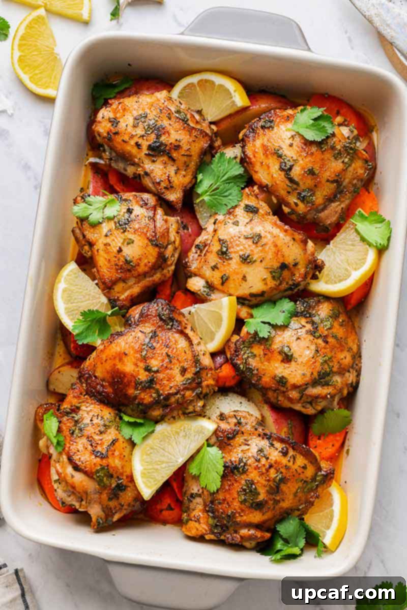 Zesty Lemon Cilantro Chicken 1 featured 1229