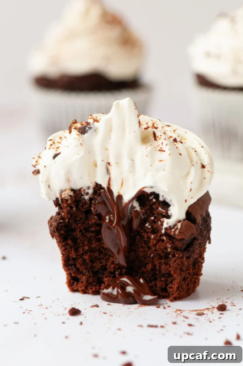 Fudgy Vegan Chocolate Perfection 1 featured 12565