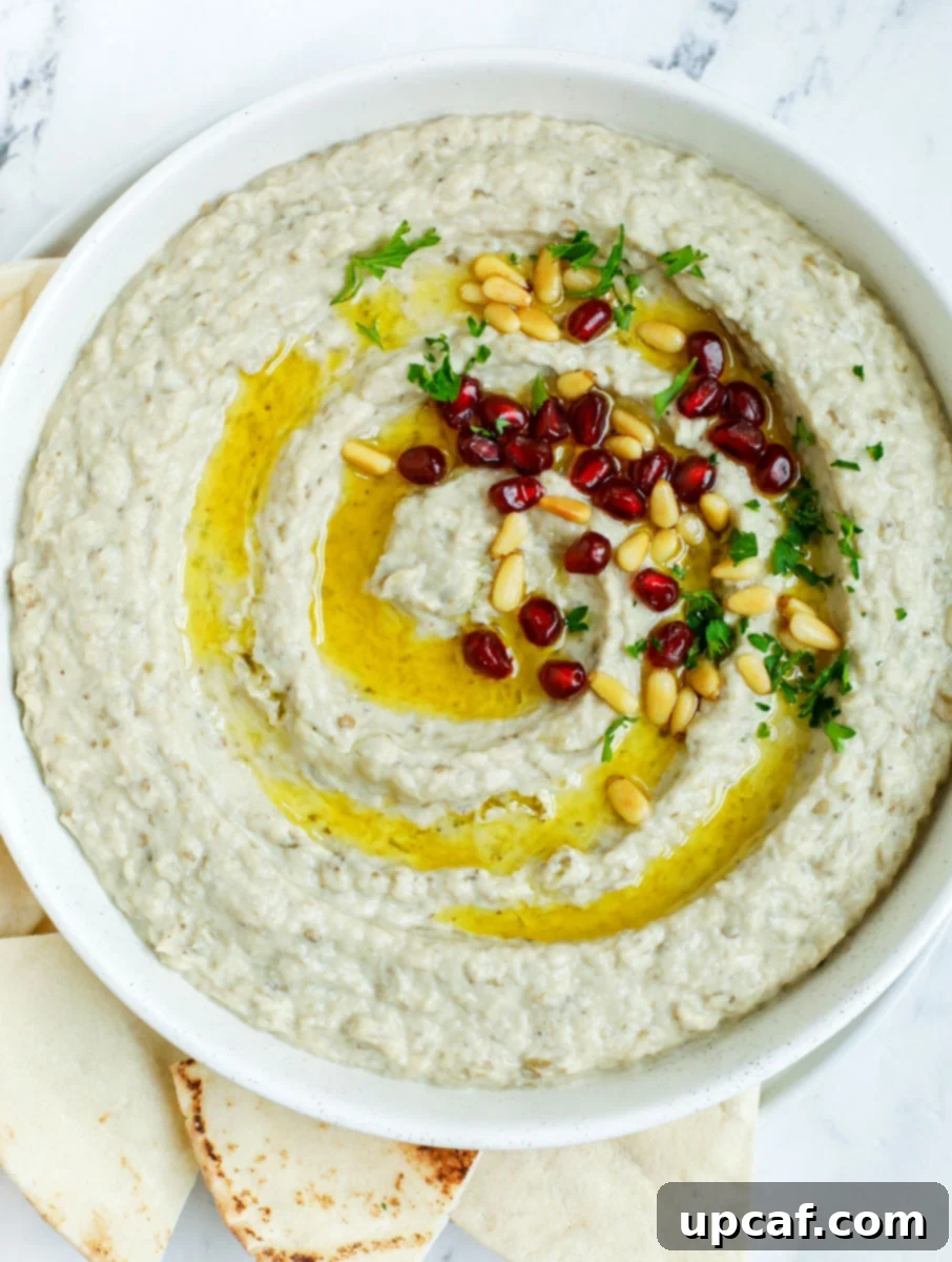 Smoky Lebanese Baba Ganoush 1 featured 16182