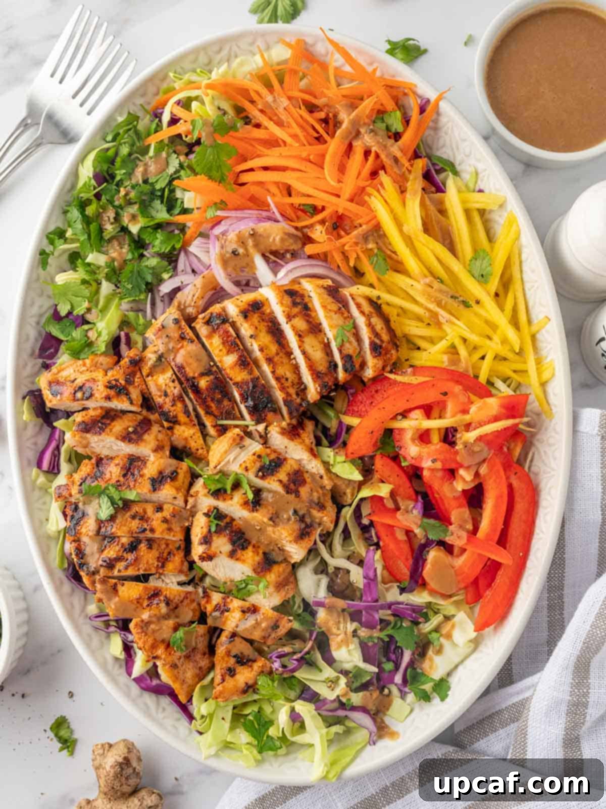 Sunshine Thai Chicken Mango Salad 1 featured 29014