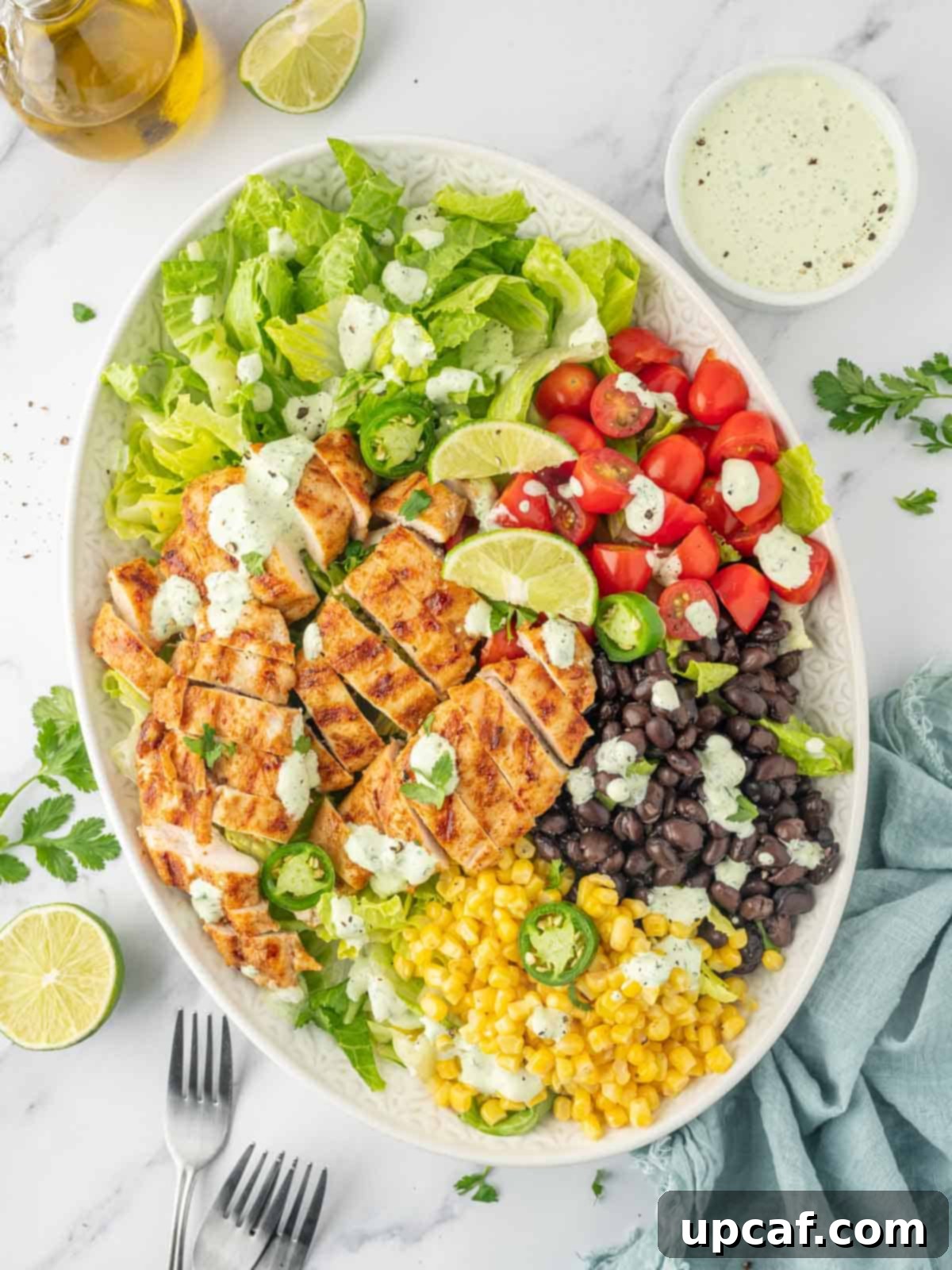 Fiesta Chicken Salad 1 featured 29126