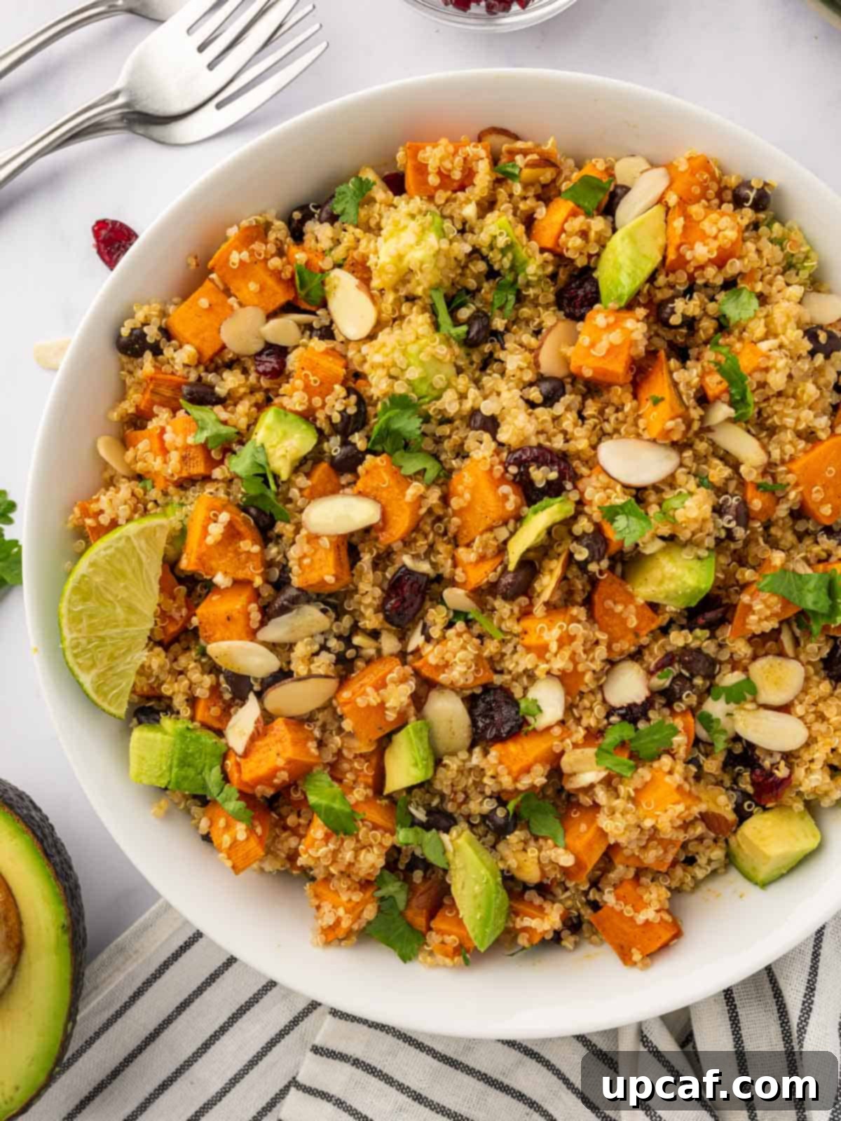 Roasted Sweet Potato Quinoa Salad 1 featured 30109