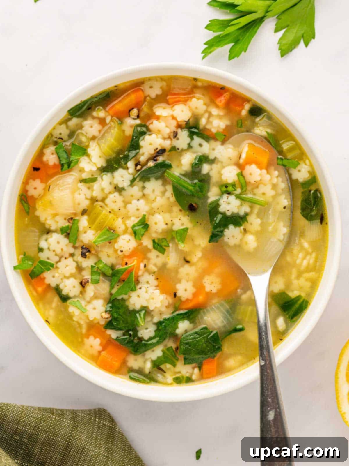 Comforting Italian Pastina Soup 1 featured 32078