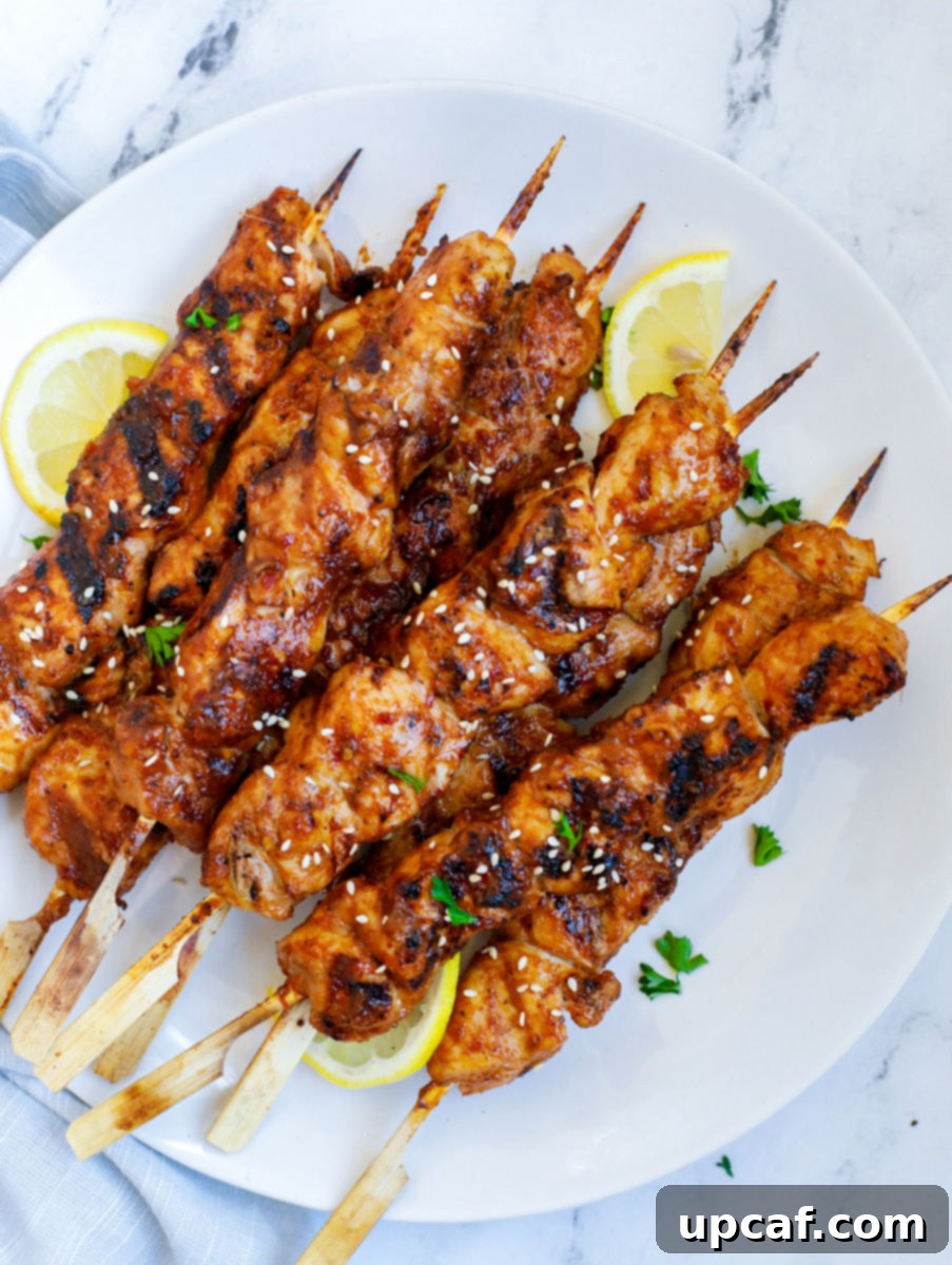 Seoul Street Chicken Skewers 1 featured 7863