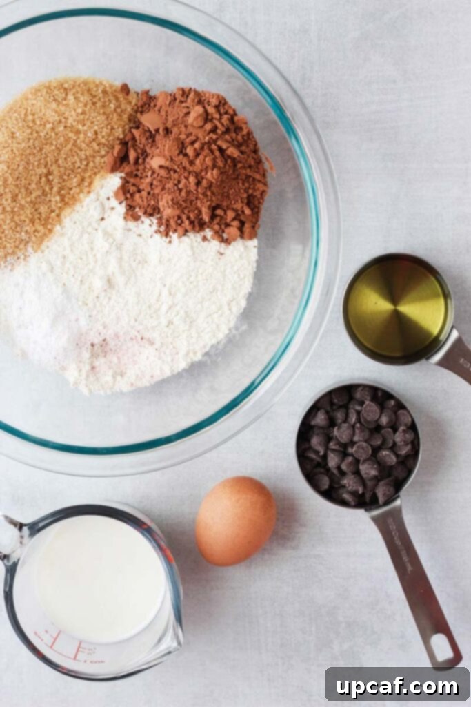 All the ingredients neatly laid out for Double Chocolate Chip Muffins.