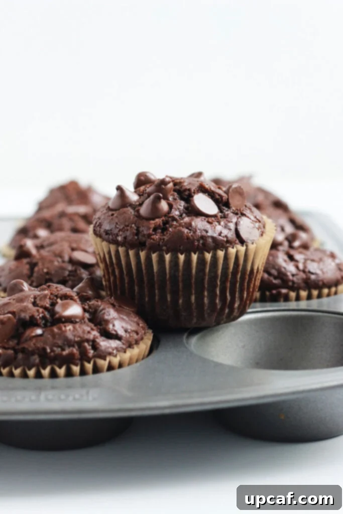 Close up of a double chocolate chip muffin, showing its moist interior and generous chocolate chips.