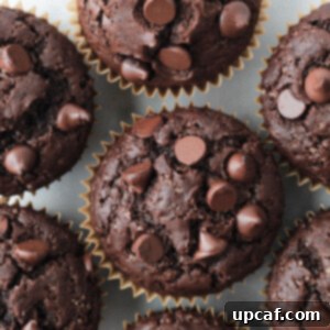 top down shot of the chocolate chip muffins