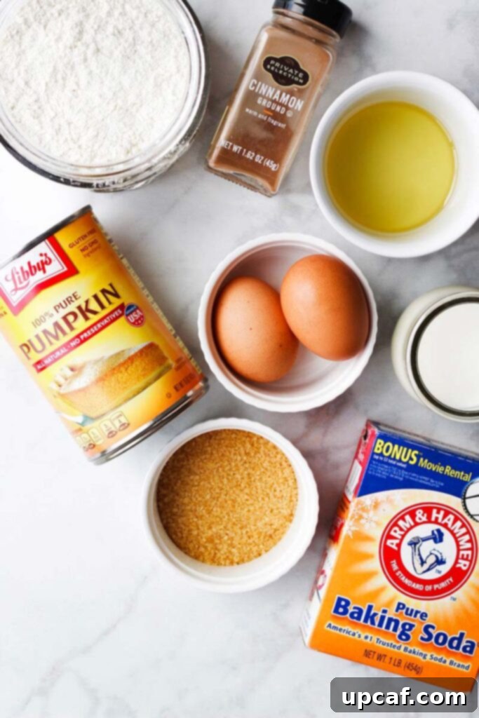 Overhead shot of all the essential ingredients needed for this Easy Pumpkin Bread recipe laid out.