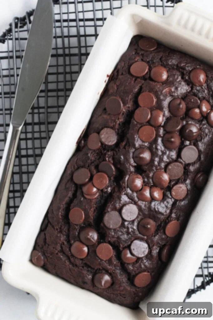 Overhead shot of freshly baked chocolate banana bread cooling in a white ceramic loaf pan, showcasing its rich dark color and chocolate chips on top.