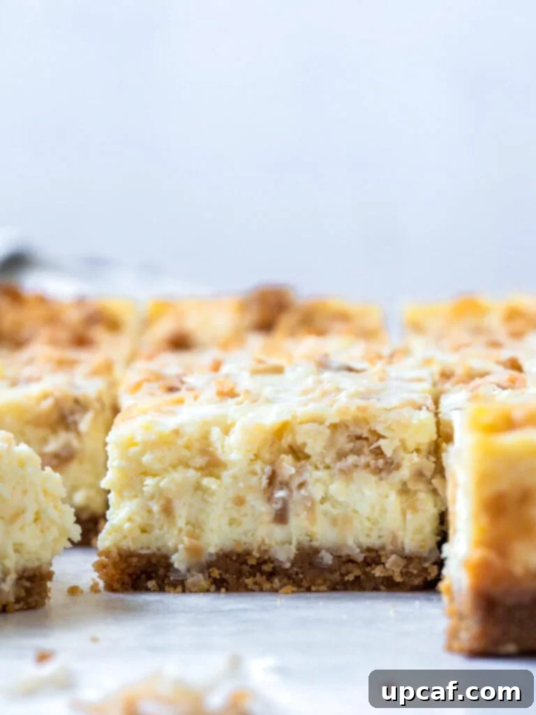 Side view of a perfectly cut coconut cheesecake bar showing its distinct layers of golden crust and rich, white coconut filling