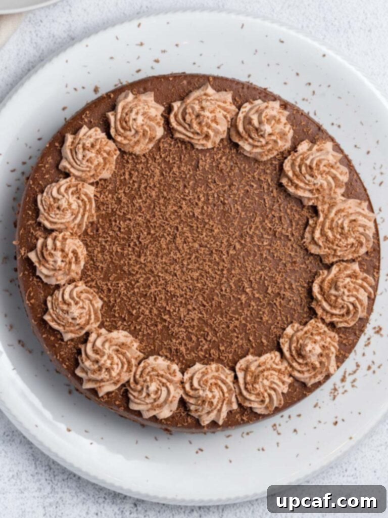 Decadent Double Chocolate Cheesecake 5 The whole Double Chocolate Cheesecake on a serving plate, unadorned and perfectly chilled.