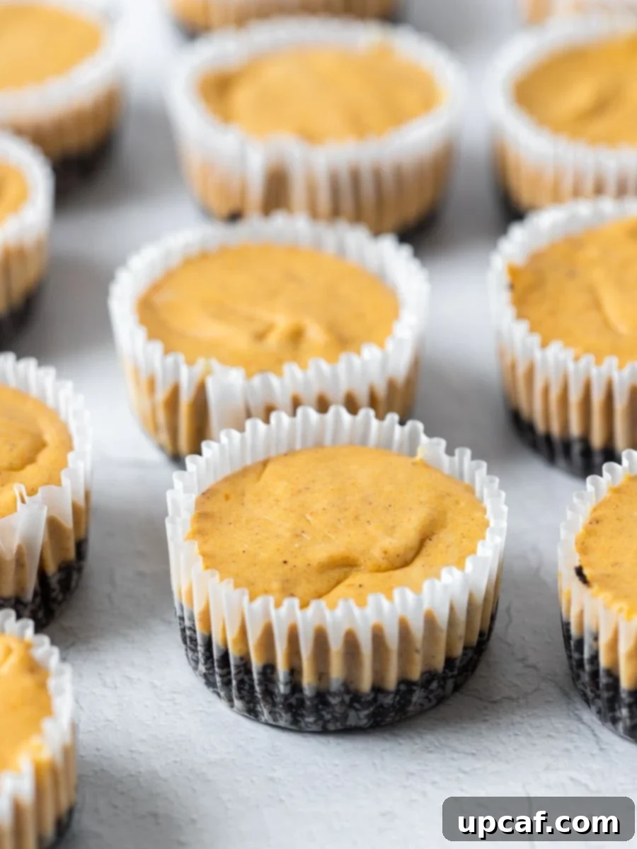 Mini pumpkin cheesecakes on a white surface.