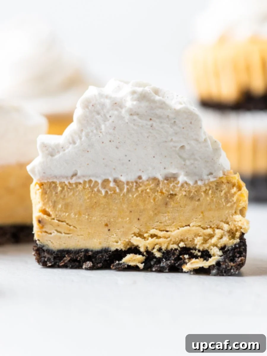 A side shot of a mini cheesecake cut in half. 