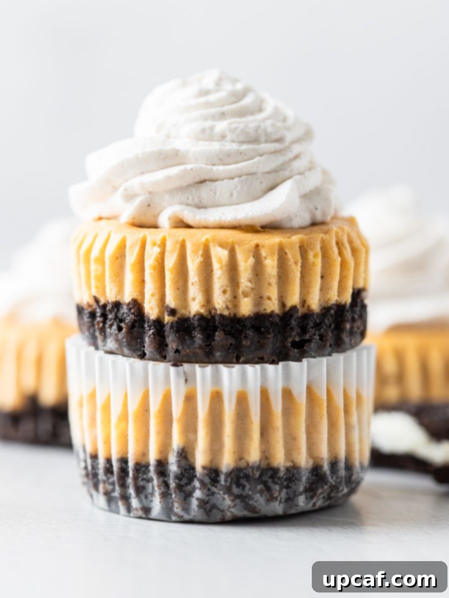 Side on shot of mini cheesecakes stacked on top of each other. 