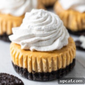 side shot of mini pumpkin cheesecake with topping.