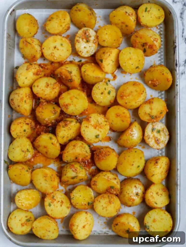 Top down shot of seasoned potatoes on a sheet pan before roasting, spread out evenly.