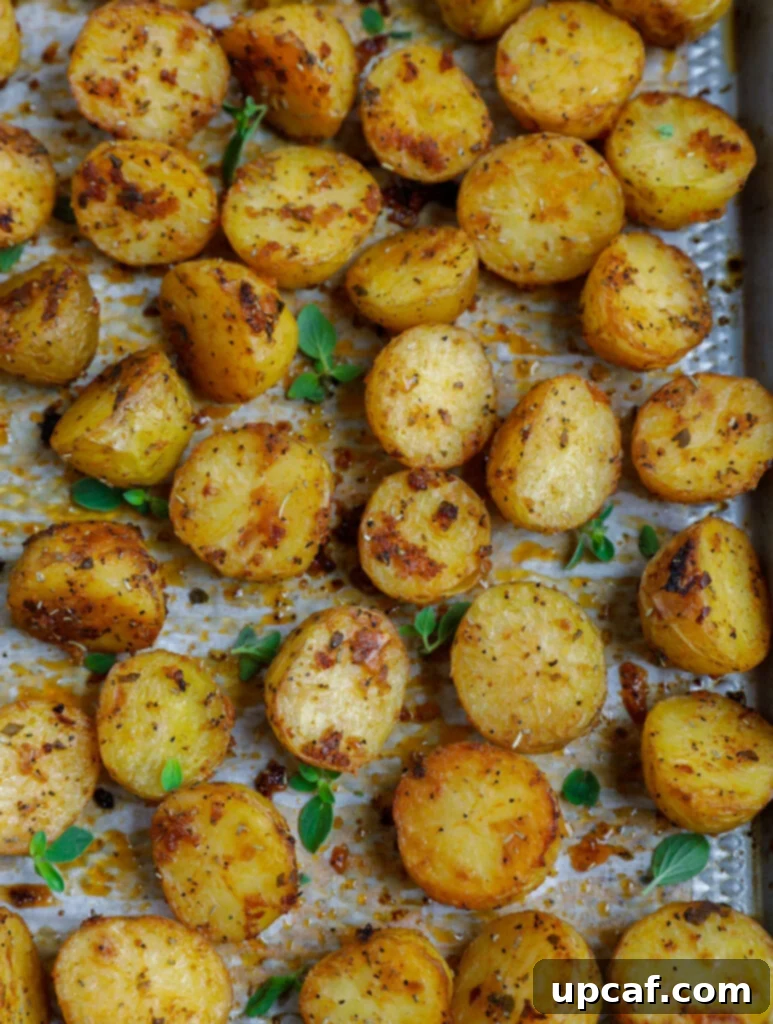 Top down shot of oven roasted baby potatoes on a sheet pan, ready to serve.