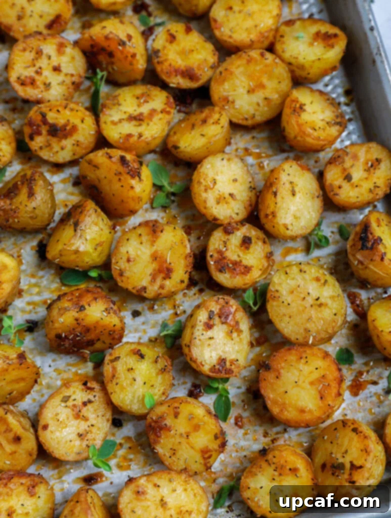 Top down shot of oven roasted baby potatoes on a sheet pan, showing the golden-brown crust.