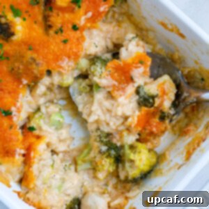 A white casserole dish with chicken broccoli and rice casserole topped with cheddar cheese on a white counter.