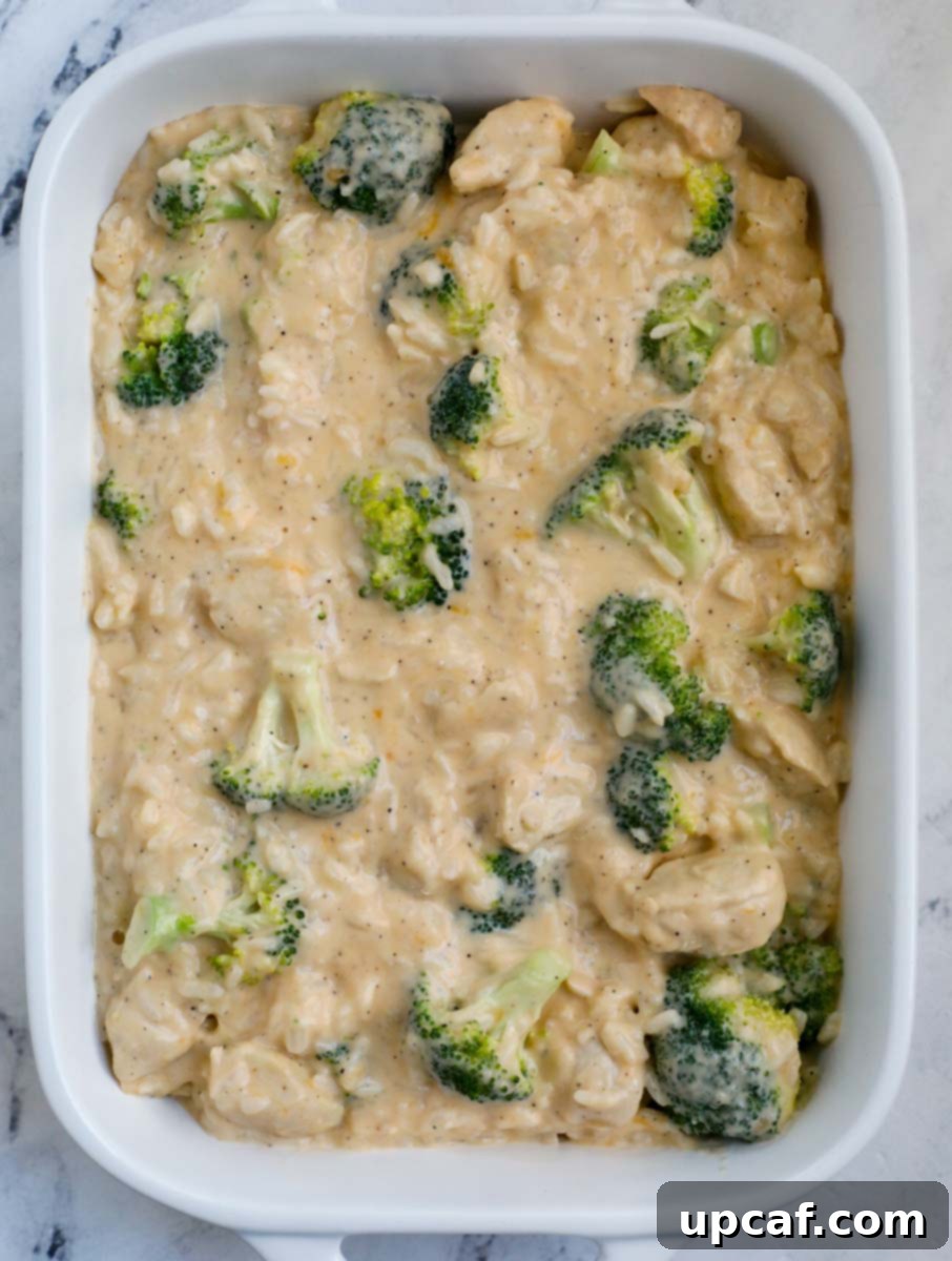 A white casserole dish filled with chicken, broccoli, and rice mixed in a creamy sauce.