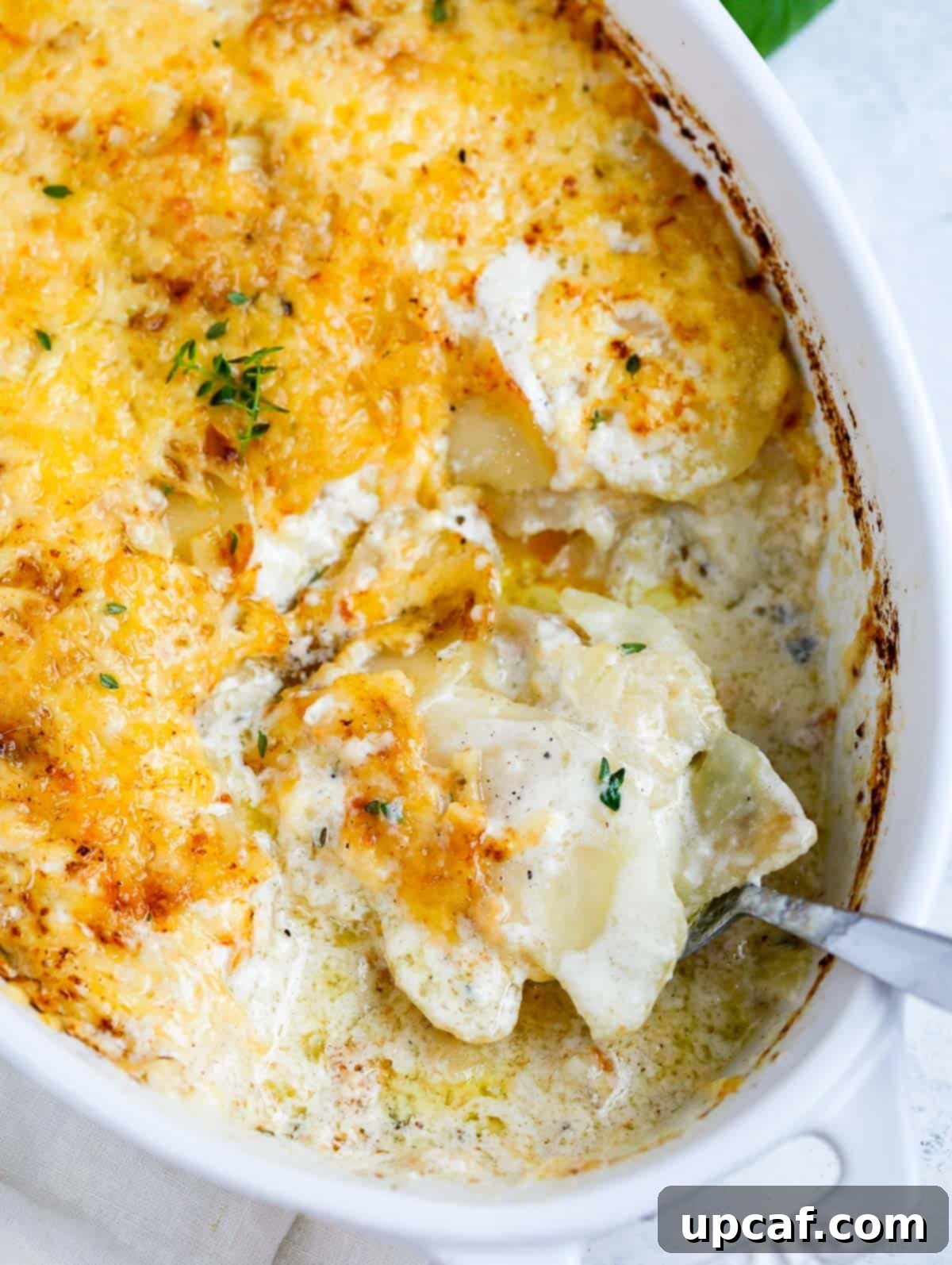 A spoon scooping out some freshly baked au gratin potatoes, showcasing the creamy layers and golden-brown crust.