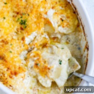 A spoon scooping out some freshly baked au gratin potatoes, showcasing the creamy layers and golden-brown crust.