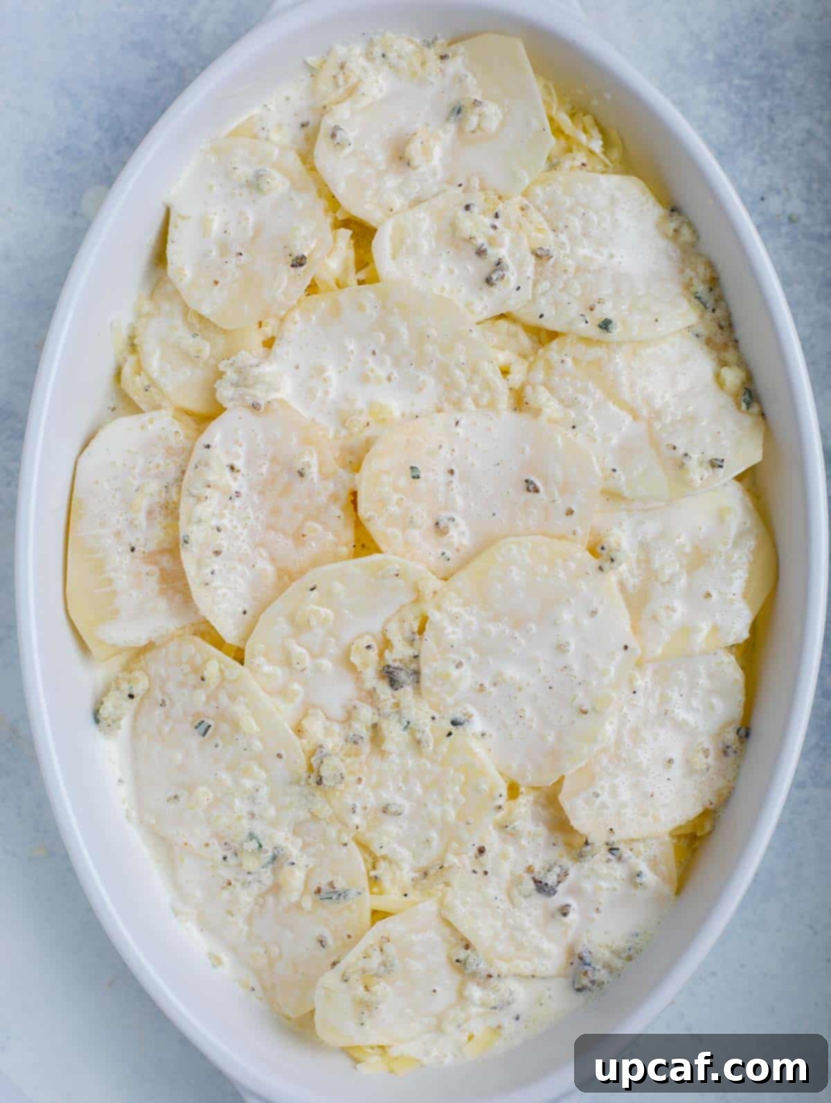 Top-down shot of the au gratin potatoes assembled in a white baking dish, ready for the oven before baking.