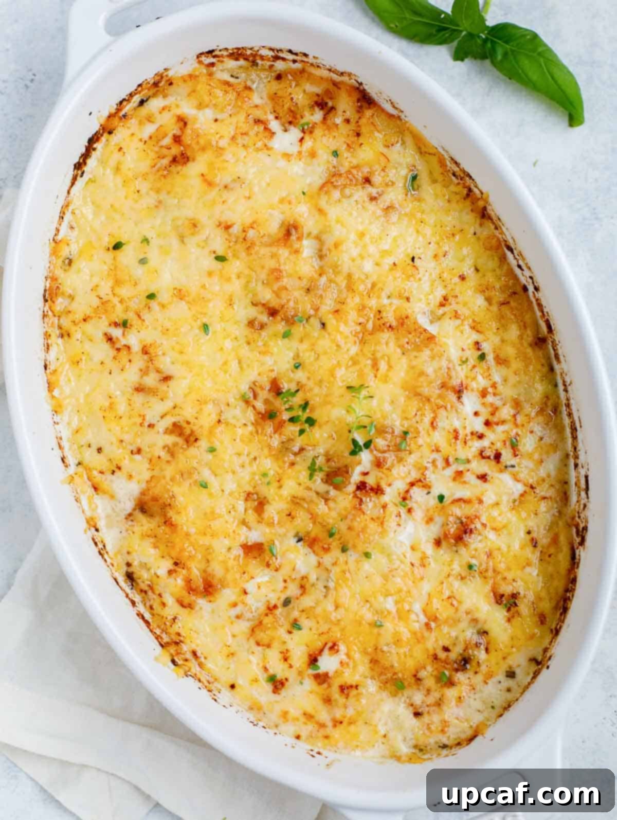 Top-down shot of the finished au gratin potatoes in a white baking dish, garnished with fresh herbs.