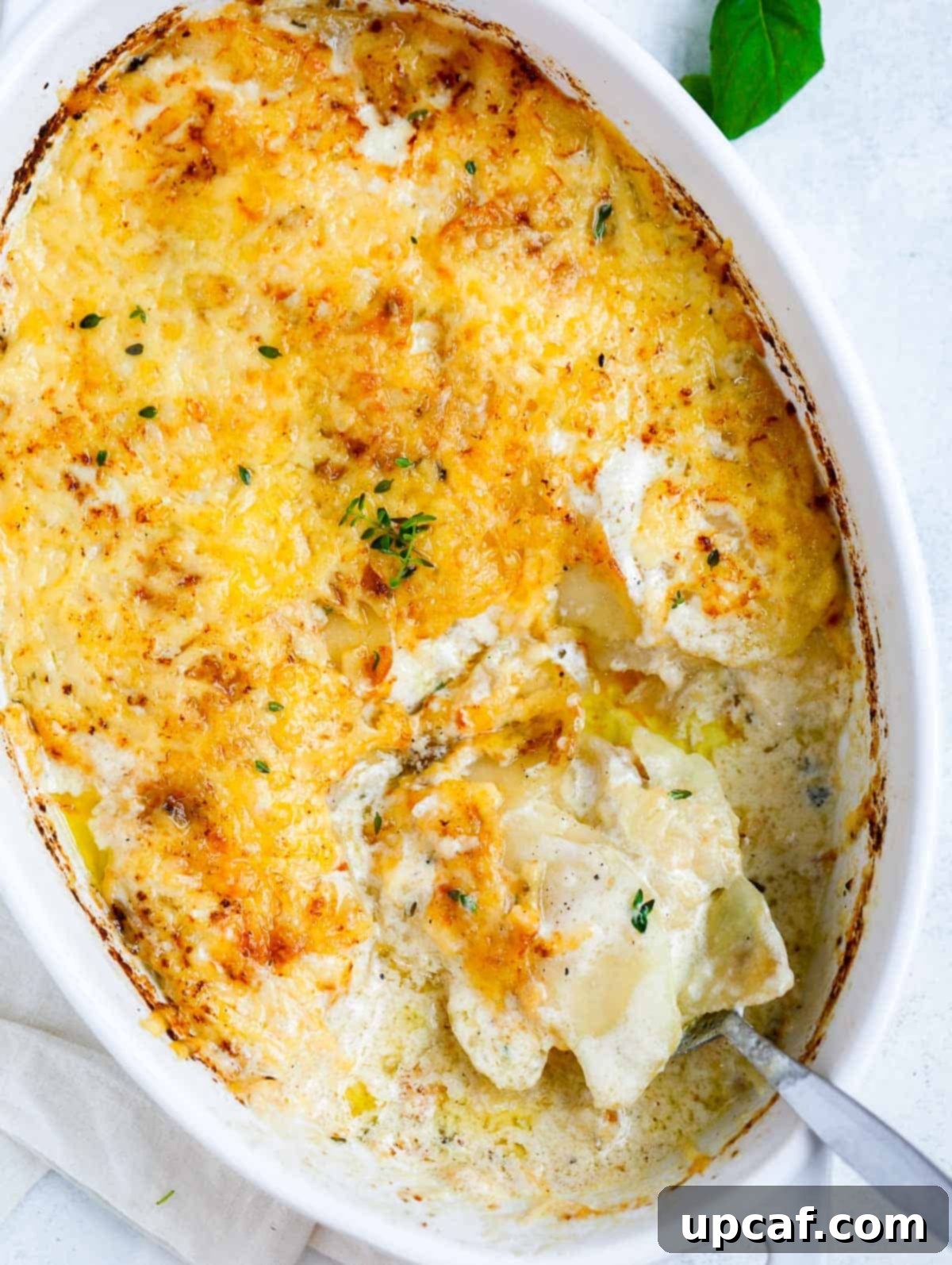 Top-down shot of the potatoes au gratin in a white dish, ready to be served, highlighting its rich, cheesy texture.