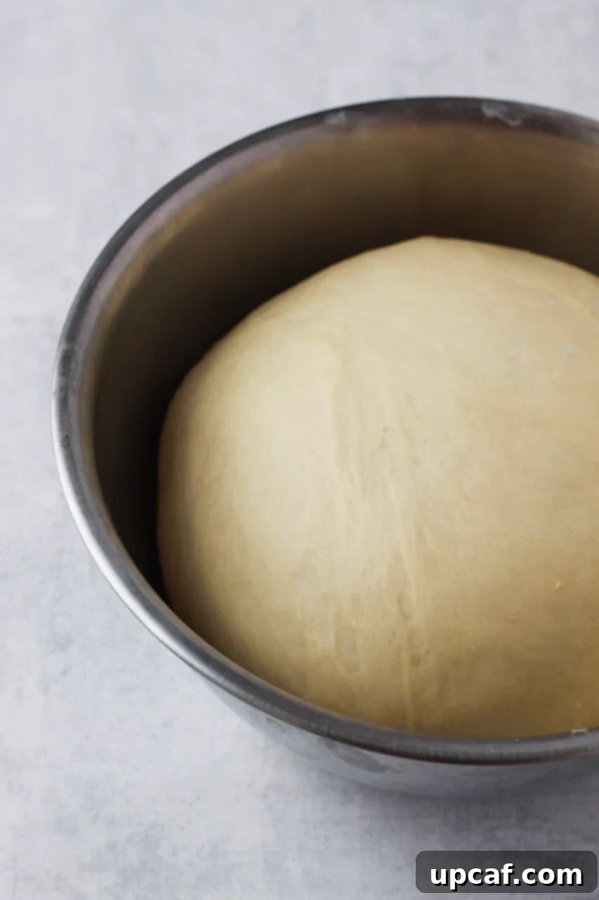 Proofed dough in a bowl, ready for shaping.