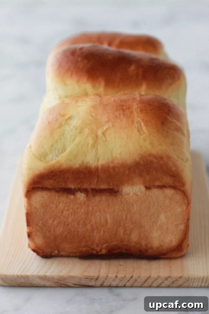 Image of an uncut loaf of freshly baked homemade sandwich bread, golden brown and ready to be sliced.
