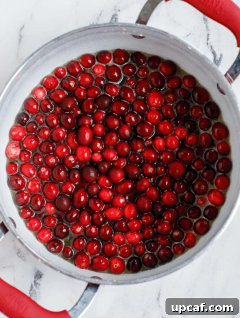Fresh cranberries being added to the simmering orange juice and sugar mixture in a pot on the stove.