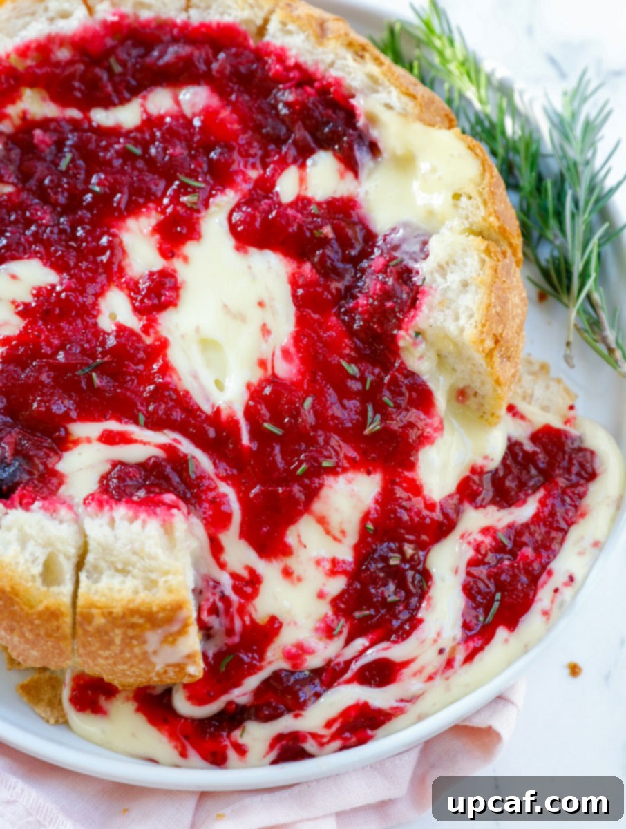 Cranberry Brie Bread Bake 2 A top-down view of a golden-brown baked brie cranberry bread bowl, showcasing melted brie and a vibrant cranberry sauce within a rustic bread crust.