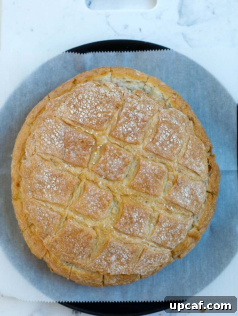 Cranberry Brie Bread Bake 6 Top-down view of a round boule loaf, prepared with its top re-covered, ready for the oven to become a baked brie bread bowl.