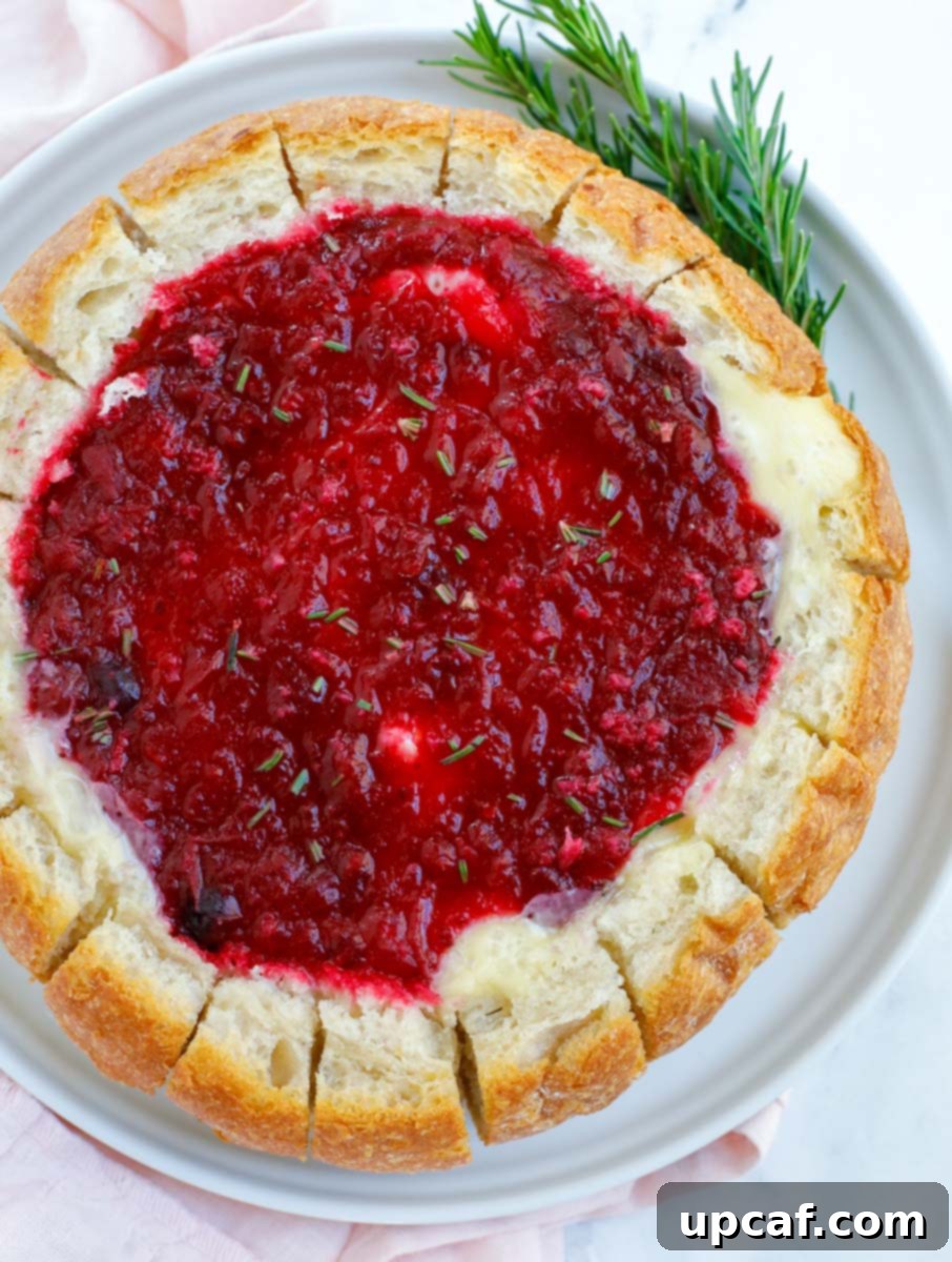 Cranberry Brie Bread Bake 7 A baked brie cranberry bread bowl, garnished with fresh herbs, viewed from above with a rustic aesthetic.