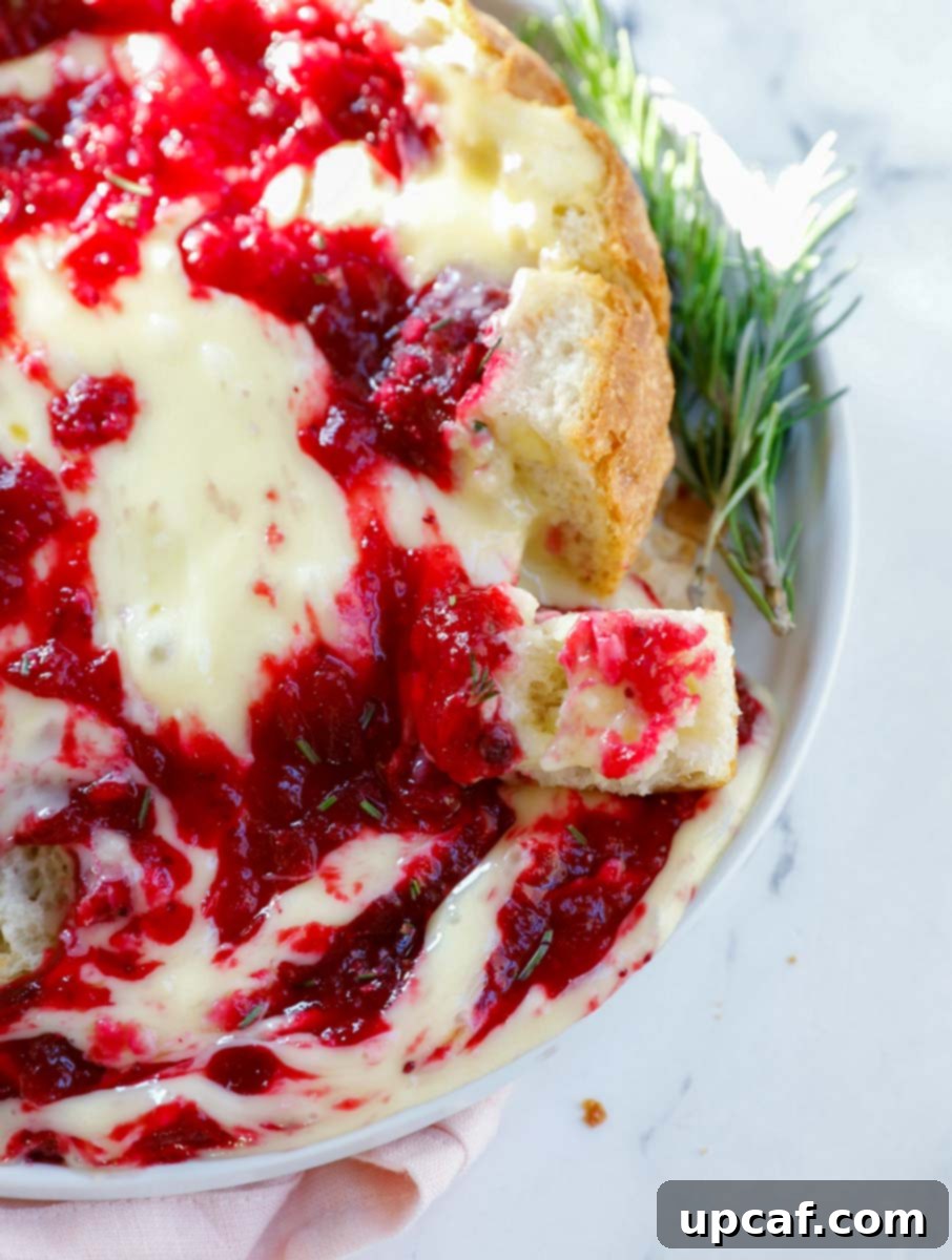 Cranberry Brie Bread Bake 8 A close-up of a baked brie cranberry bread bowl, showing the warm, melting cheese and sauce spilling out, with crusty bread pieces ready for dipping.