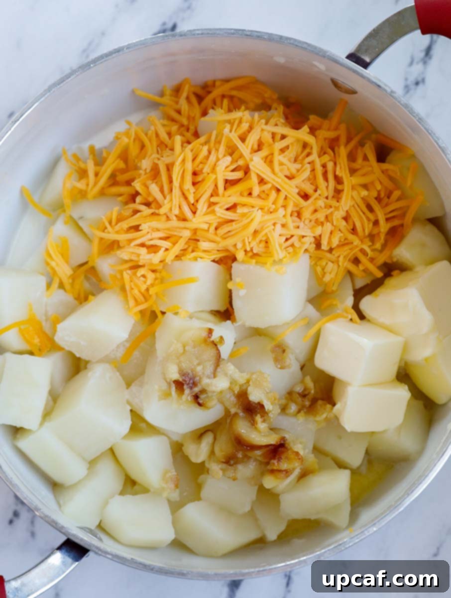 Hot mashed potatoes in a pot with roasted garlic, butter, heavy cream, and shredded cheddar cheese added, ready for mashing.