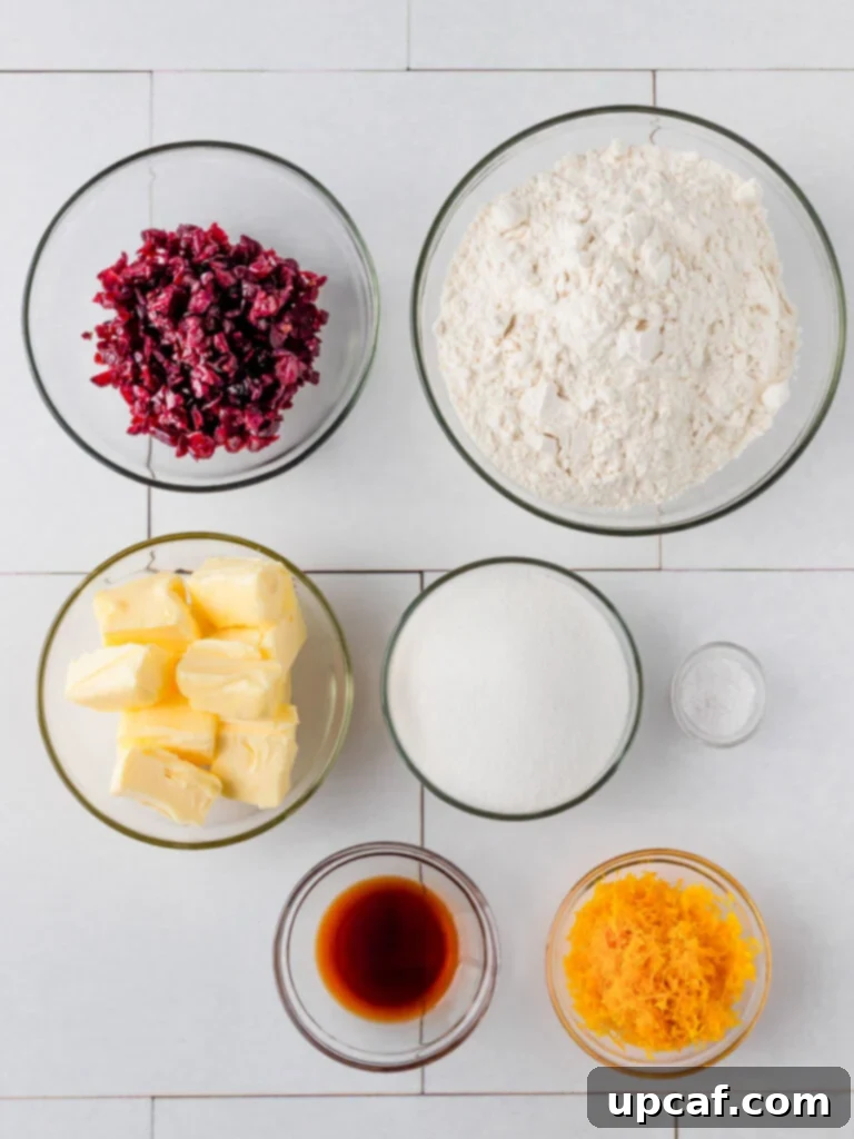 An organized top-down view of the essential shortbread cookie ingredients: butter, sugar, flour, salt, vanilla extract, dried cranberries, and fresh oranges, ready for baking.