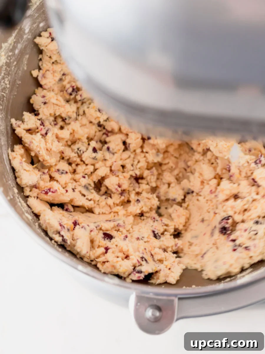 Overhead shot of the shortbread dough in a mixer, with dried cranberries being gently folded in, ensuring even distribution.