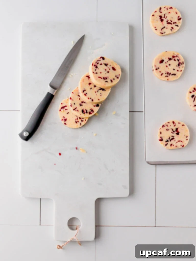 An overhead view showcasing neatly cut, uniform circular cookie shapes arranged on a baking sheet, created from a chilled log of cranberry orange shortbread dough.
