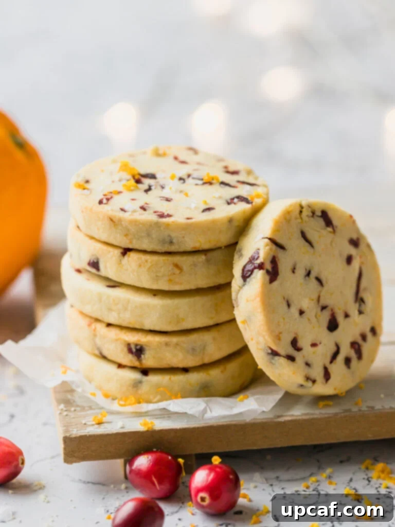 A beautifully composed stack of golden Cranberry Orange Shortbread Cookies, artfully surrounded by fresh, vibrant cranberries, ready to be enjoyed.