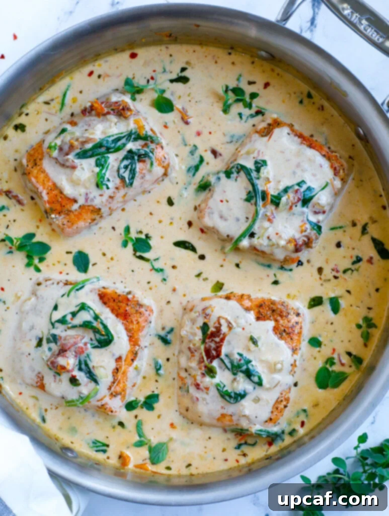 Top down view of creamy salmon in a silver pot, garnished and ready.