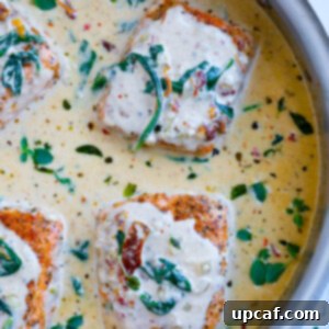 Top down view creamy tuscan salmon.