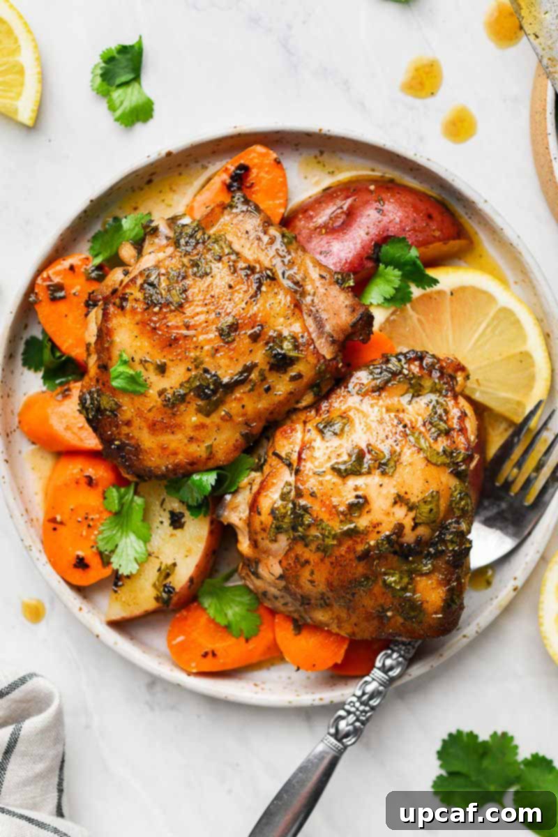 Zesty Lemon Cilantro Chicken 6 Two pieces of baked chicken thighs on a plate with roasted vegetables and a fork.