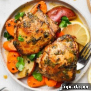 Zesty Lemon Cilantro Chicken 7 Two pieces of chicken thighs on a plate with roasted veggies and a fork