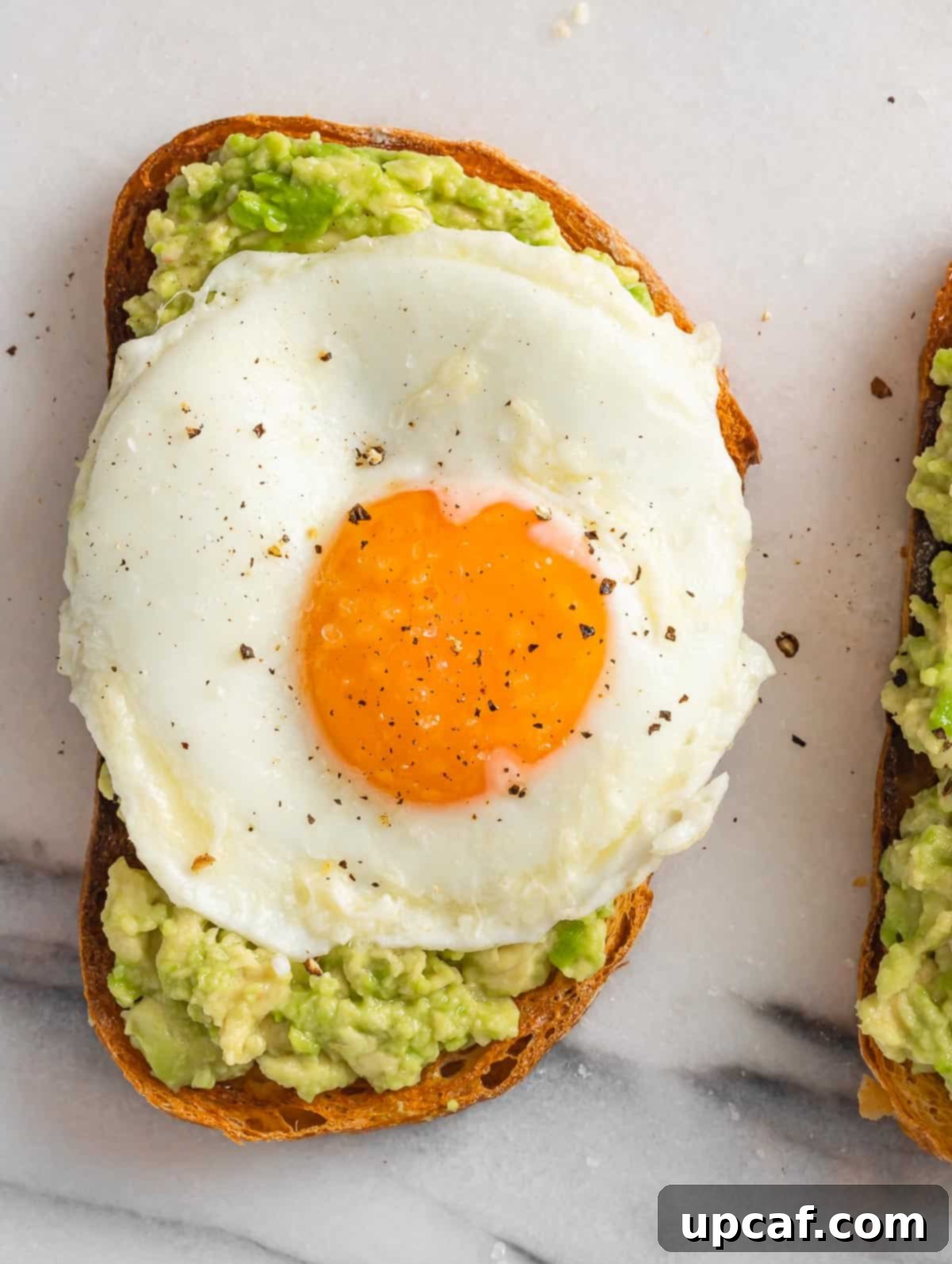 Avocado on toast bread topped with a perfectly fried egg, golden yolk shining.
