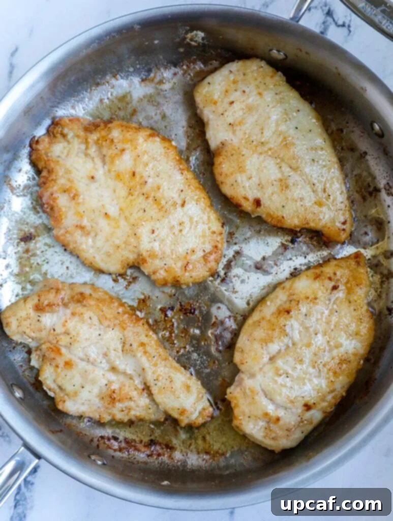 Top down view of chicken breasts sizzling in a non-stick skillet, developing a golden crust.
