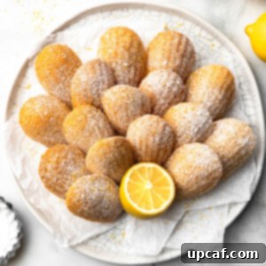A white plate of golden lemon madeleines, perfectly baked and ready to be enjoyed.