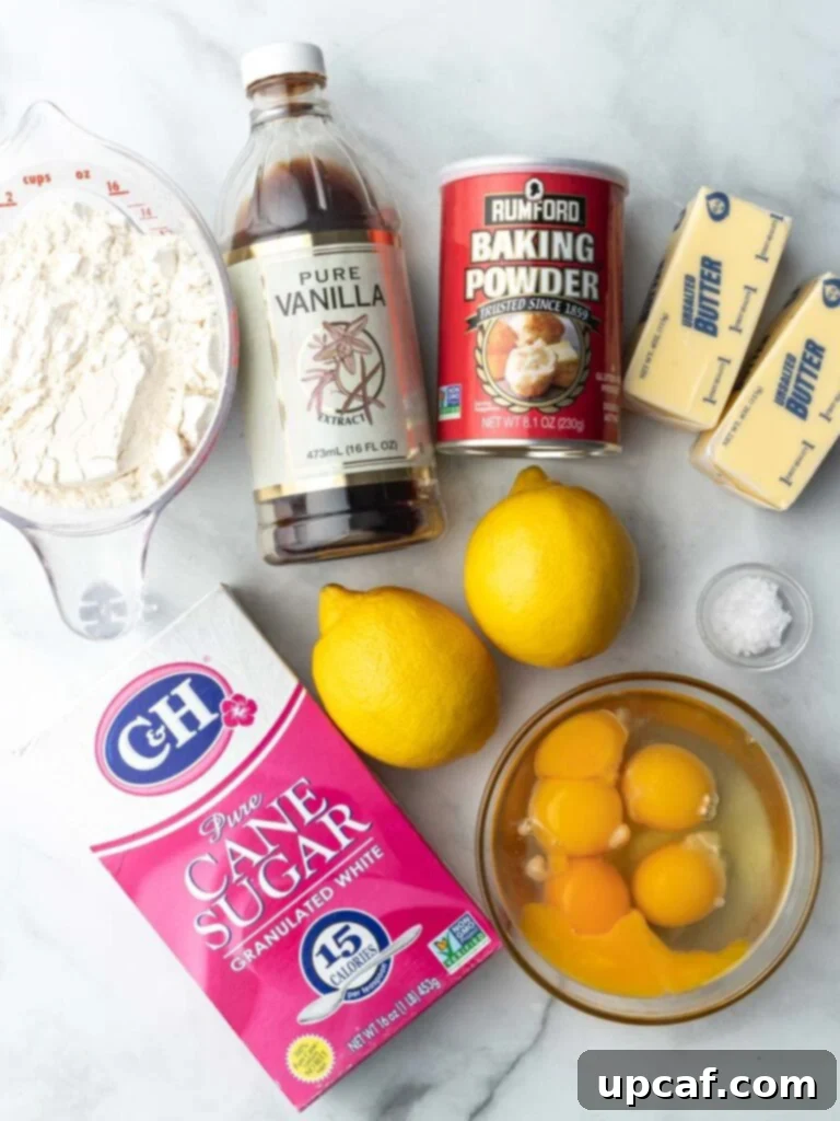 An overhead view showcasing all the fresh, high-quality ingredients laid out for baking lemon Madeleines, including butter, sugar, lemons, eggs, flour, baking powder, and vanilla extract.