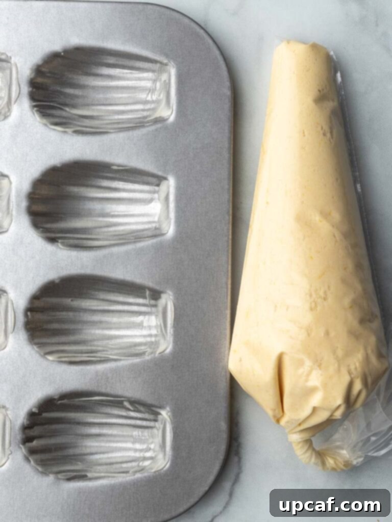 A pastry bag filled with chilled Madeleine batter rests beside a prepared, empty Madeleine baking pan, ready for piping the delicate mixture into the shell molds.